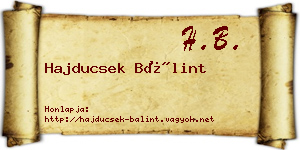 Hajducsek Bálint névjegykártya