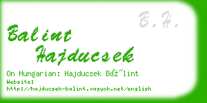 balint hajducsek business card